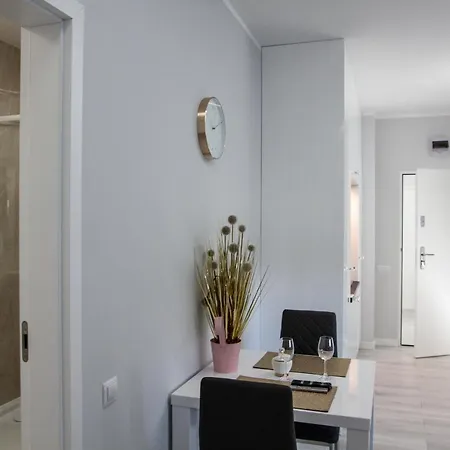 Novel New Apartment Warsaw