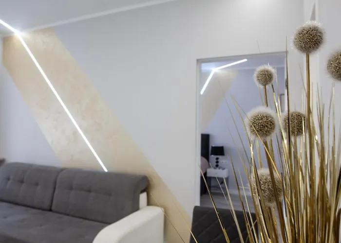 Novel New * Warszawa